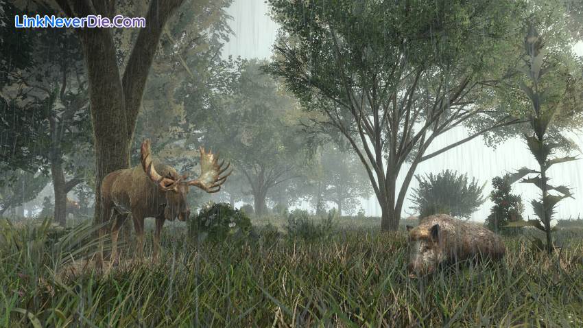 Hình ảnh trong game Life is Feudal: Forest Village (screenshot) Hình ảnh trong game Life is Feudal: Forest Village (screenshot)