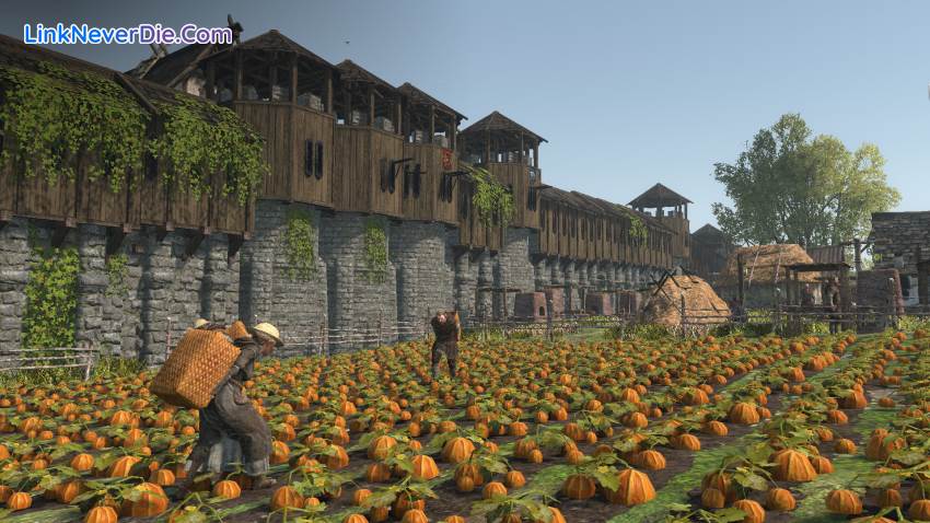Hình ảnh trong game Life is Feudal: Forest Village (screenshot) Hình ảnh trong game Life is Feudal: Forest Village (screenshot)