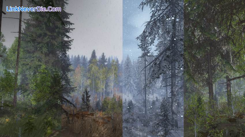 Hình ảnh trong game Life is Feudal: Your Own (screenshot) Hình ảnh trong game Life is Feudal: Your Own (screenshot)