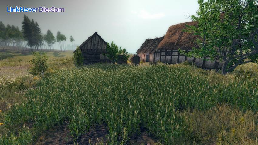 Hình ảnh trong game Life is Feudal: Your Own (screenshot) Hình ảnh trong game Life is Feudal: Your Own (screenshot)