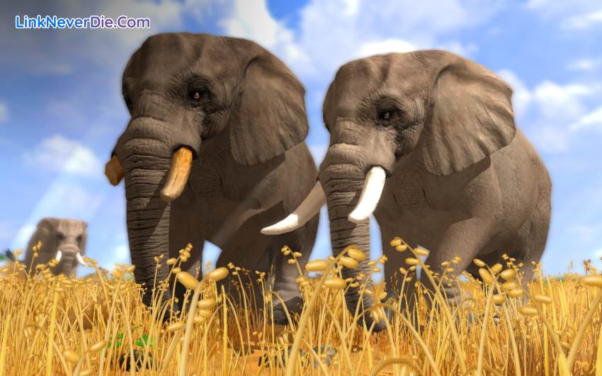 Hình ảnh trong game Wildlife Park Collection (screenshot) Hình ảnh trong game Wildlife Park Collection (screenshot)