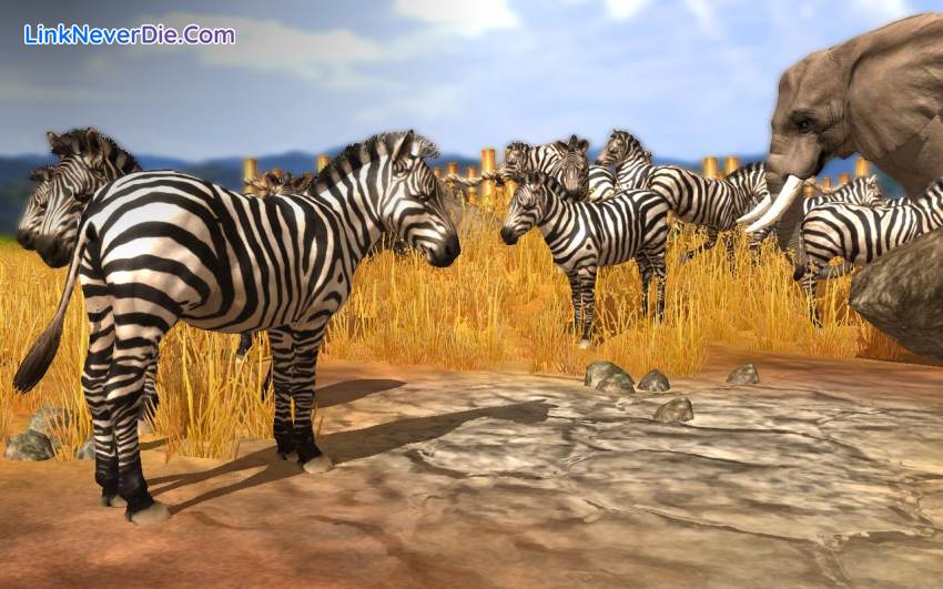 Hình ảnh trong game Wildlife Park Collection (screenshot) Hình ảnh trong game Wildlife Park Collection (screenshot)