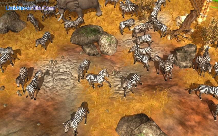 Hình ảnh trong game Wildlife Park Collection (screenshot) Hình ảnh trong game Wildlife Park Collection (screenshot)