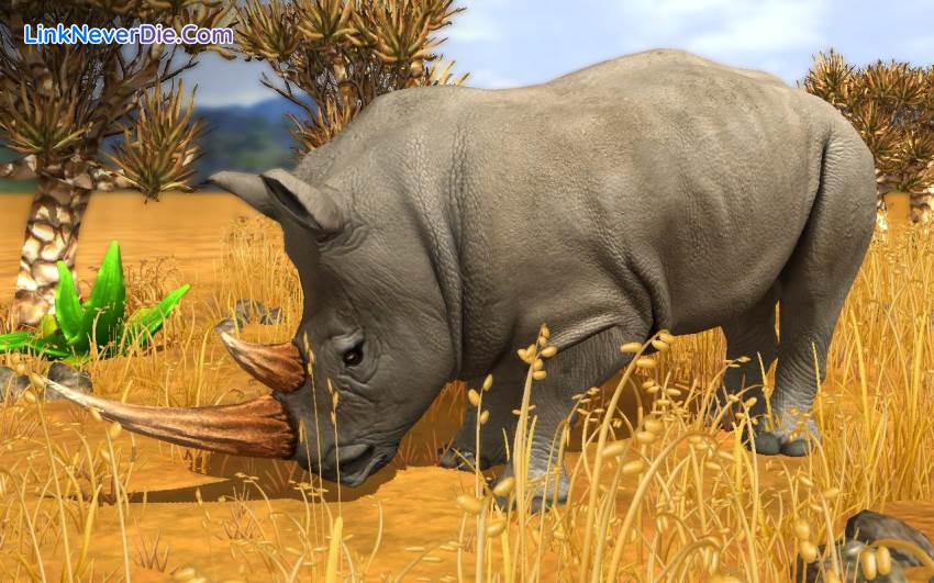 Hình ảnh trong game Wildlife Park Collection (screenshot) Hình ảnh trong game Wildlife Park Collection (screenshot)
