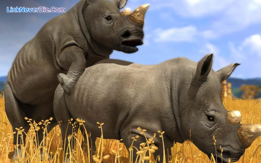 Hình ảnh trong game Wildlife Park Collection (screenshot) Hình ảnh trong game Wildlife Park Collection (screenshot)