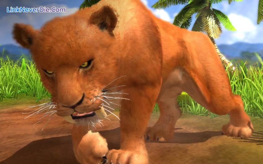 Hình ảnh trong game Wildlife Park Collection (screenshot) Hình ảnh trong game Wildlife Park Collection (screenshot)