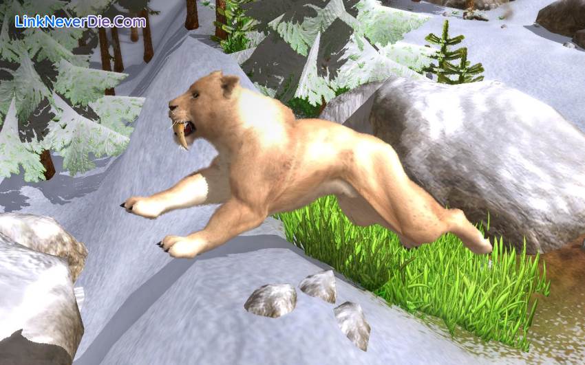Hình ảnh trong game Wildlife Park Collection (screenshot) Hình ảnh trong game Wildlife Park Collection (screenshot)