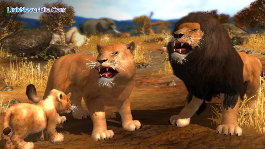 Hình ảnh trong game Wildlife Park Collection (screenshot) Hình ảnh trong game Wildlife Park Collection (screenshot)