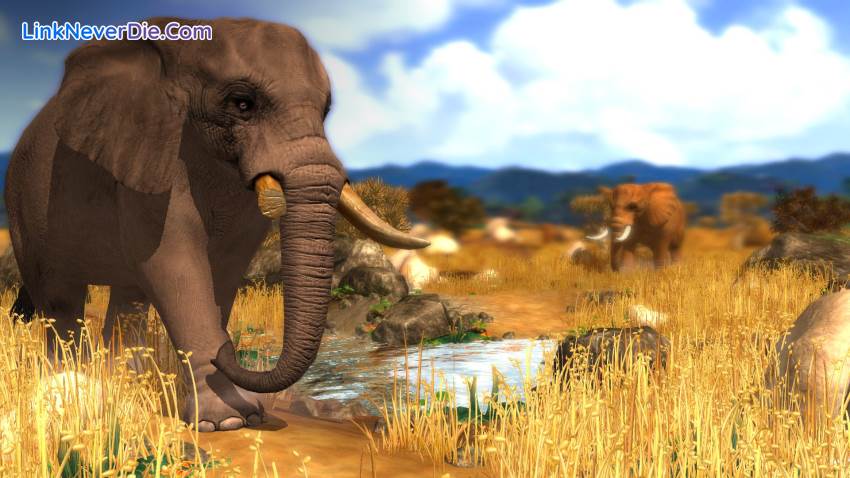 Hình ảnh trong game Wildlife Park Collection (screenshot) Hình ảnh trong game Wildlife Park Collection (screenshot)