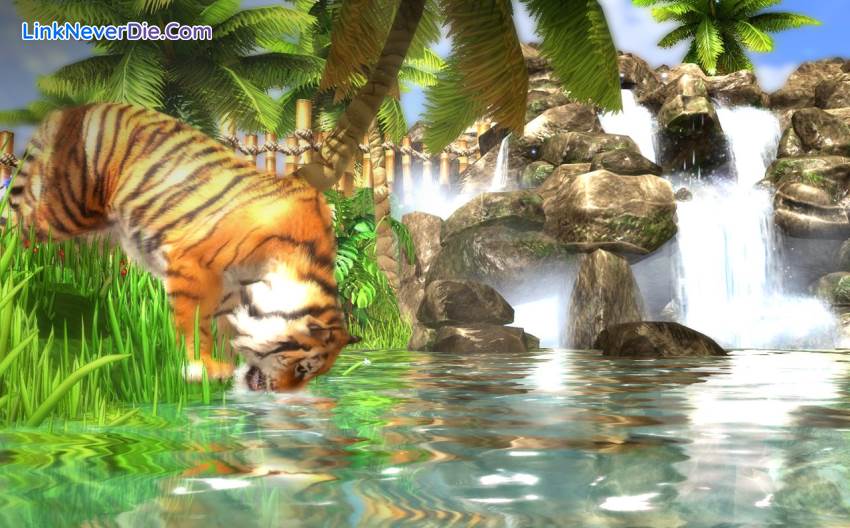 Hình ảnh trong game Wildlife Park Collection (screenshot) Hình ảnh trong game Wildlife Park Collection (screenshot)