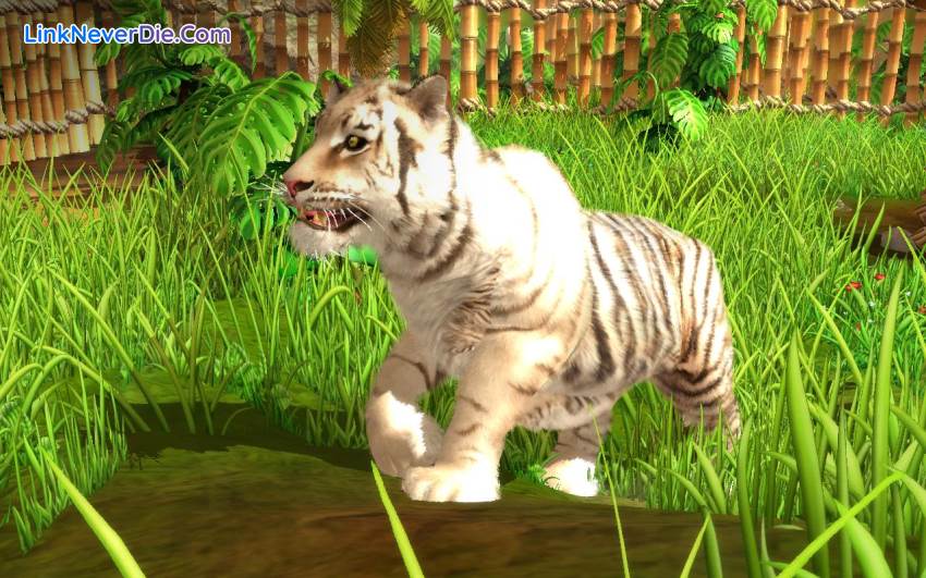 Hình ảnh trong game Wildlife Park Collection (screenshot) Hình ảnh trong game Wildlife Park Collection (screenshot)