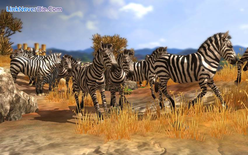 Hình ảnh trong game Wildlife Park Collection (screenshot) Hình ảnh trong game Wildlife Park Collection (screenshot)