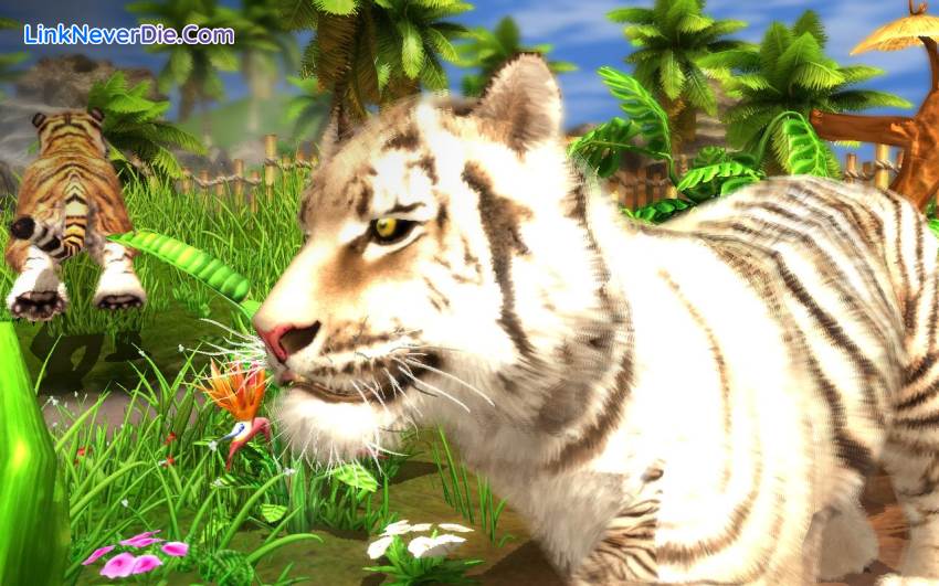Hình ảnh trong game Wildlife Park Collection (screenshot) Hình ảnh trong game Wildlife Park Collection (screenshot)
