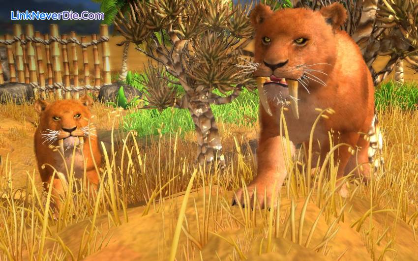 Hình ảnh trong game Wildlife Park Collection (screenshot) Hình ảnh trong game Wildlife Park Collection (screenshot)