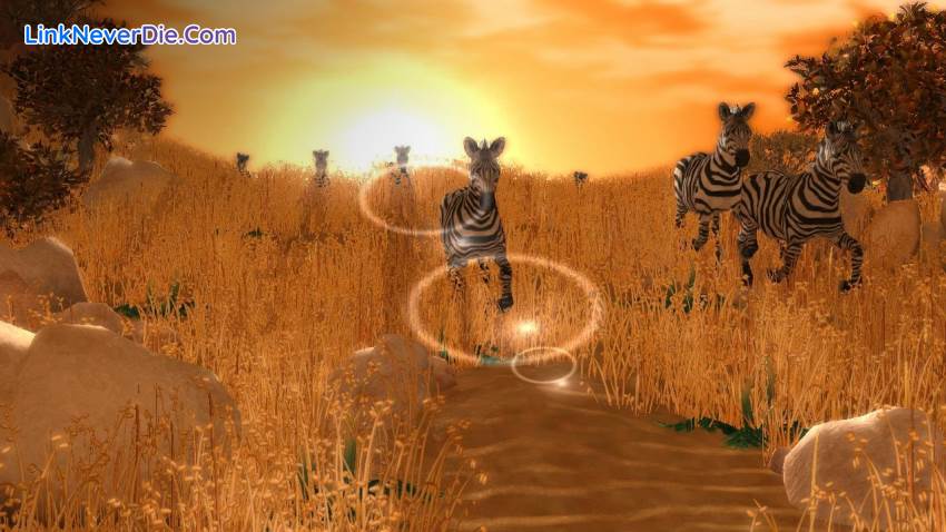 Hình ảnh trong game Wildlife Park Collection (screenshot) Hình ảnh trong game Wildlife Park Collection (screenshot)