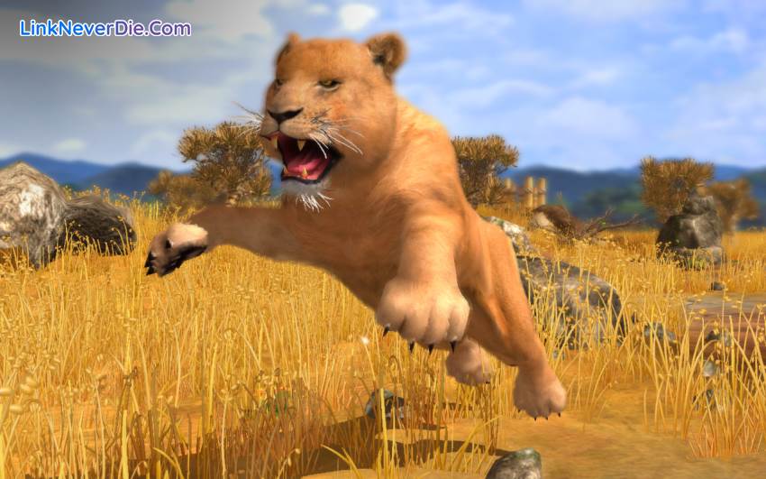 Hình ảnh trong game Wildlife Park Collection (screenshot) Hình ảnh trong game Wildlife Park Collection (screenshot)