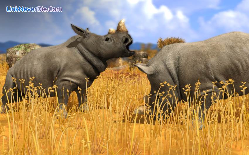 Hình ảnh trong game Wildlife Park Collection (screenshot) Hình ảnh trong game Wildlife Park Collection (screenshot)