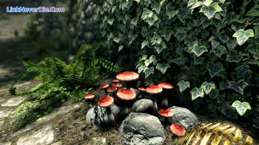 Hình ảnh trong game The Elder Scrolls V: Skyrim Special Edition (screenshot) Hình ảnh trong game The Elder Scrolls V: Skyrim Special Edition (screenshot)