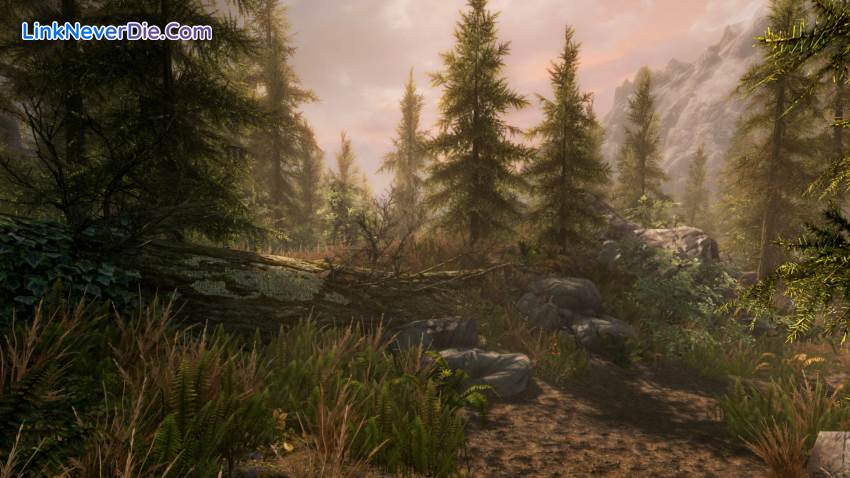 Hình ảnh trong game The Elder Scrolls V: Skyrim Special Edition (screenshot) Hình ảnh trong game The Elder Scrolls V: Skyrim Special Edition (screenshot)