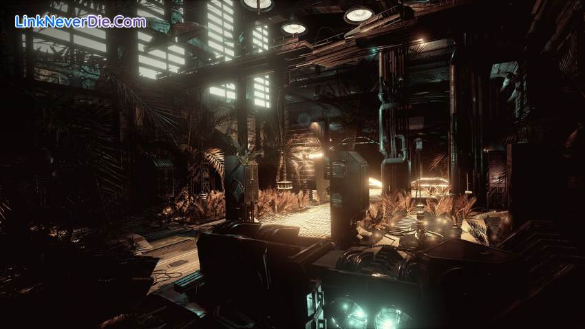 Hình ảnh trong game ALICE VR (screenshot) Hình ảnh trong game ALICE VR (screenshot)