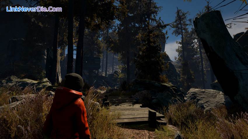 Hình ảnh trong game Through the Woods Collector’s Edition (screenshot) Hình ảnh trong game Through the Woods Collector’s Edition (screenshot)