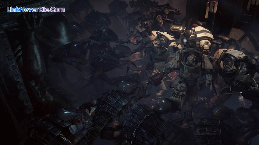 Hình ảnh trong game Space Hulk: Deathwing - Enhanced Edition (screenshot) Hình ảnh trong game Space Hulk: Deathwing - Enhanced Edition (screenshot)