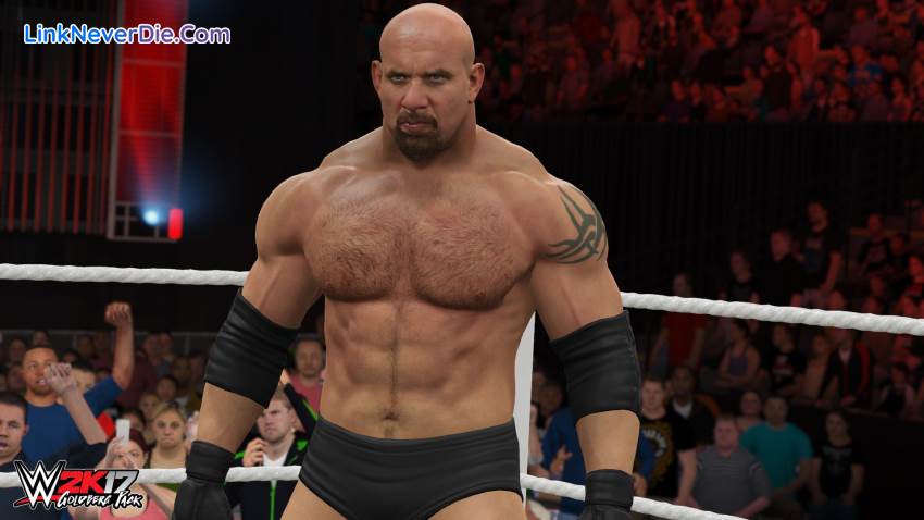 Hình ảnh trong game WWE 2K17 (screenshot) Hình ảnh trong game WWE 2K17 (screenshot)