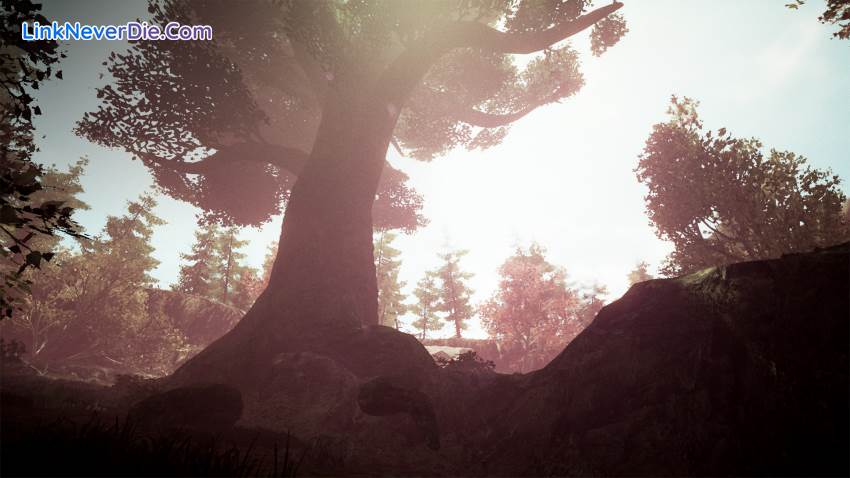 Hình ảnh trong game Drizzlepath: Glass (screenshot) Hình ảnh trong game Drizzlepath: Glass (screenshot)
