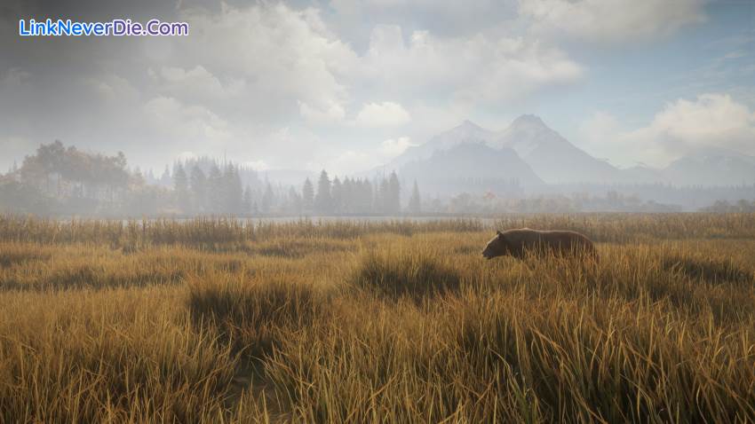 Hình ảnh trong game theHunter: Call of the Wild (screenshot) Hình ảnh trong game theHunter: Call of the Wild (screenshot)