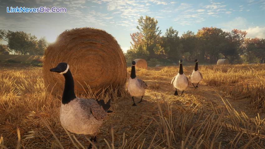 Hình ảnh trong game theHunter: Call of the Wild (screenshot) Hình ảnh trong game theHunter: Call of the Wild (screenshot)