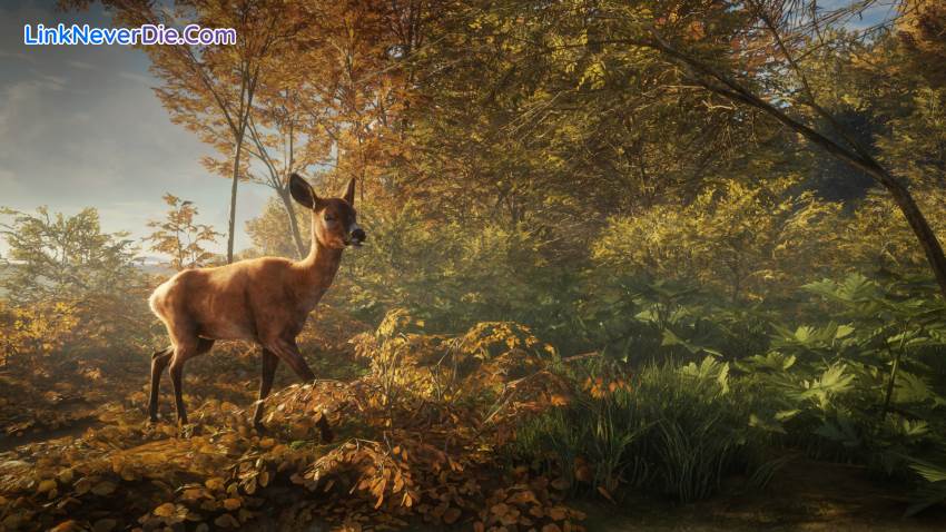 Hình ảnh trong game theHunter: Call of the Wild (screenshot) Hình ảnh trong game theHunter: Call of the Wild (screenshot)