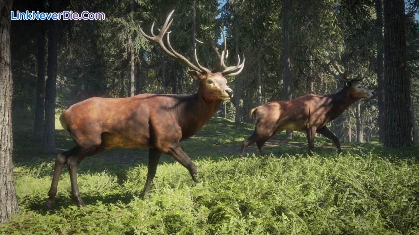 Hình ảnh trong game theHunter: Call of the Wild (screenshot) Hình ảnh trong game theHunter: Call of the Wild (screenshot)