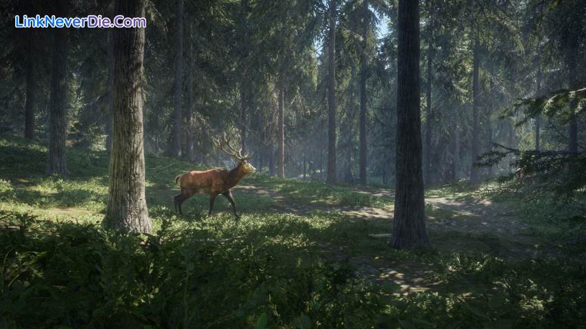 Hình ảnh trong game theHunter: Call of the Wild (screenshot) Hình ảnh trong game theHunter: Call of the Wild (screenshot)