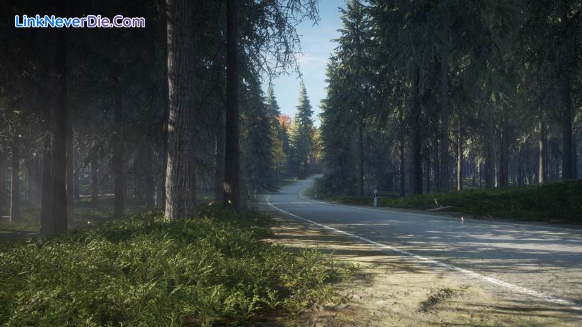 Hình ảnh trong game theHunter: Call of the Wild (screenshot) Hình ảnh trong game theHunter: Call of the Wild (screenshot)