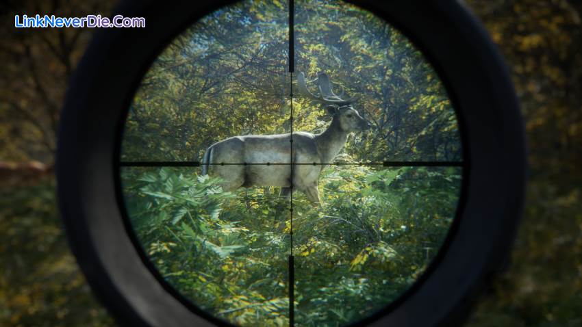 Hình ảnh trong game theHunter: Call of the Wild (screenshot) Hình ảnh trong game theHunter: Call of the Wild (screenshot)