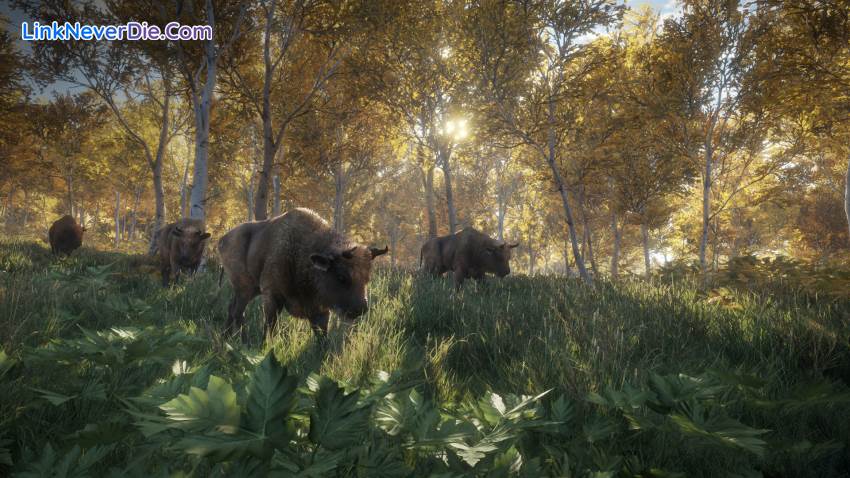 Hình ảnh trong game theHunter: Call of the Wild (screenshot) Hình ảnh trong game theHunter: Call of the Wild (screenshot)