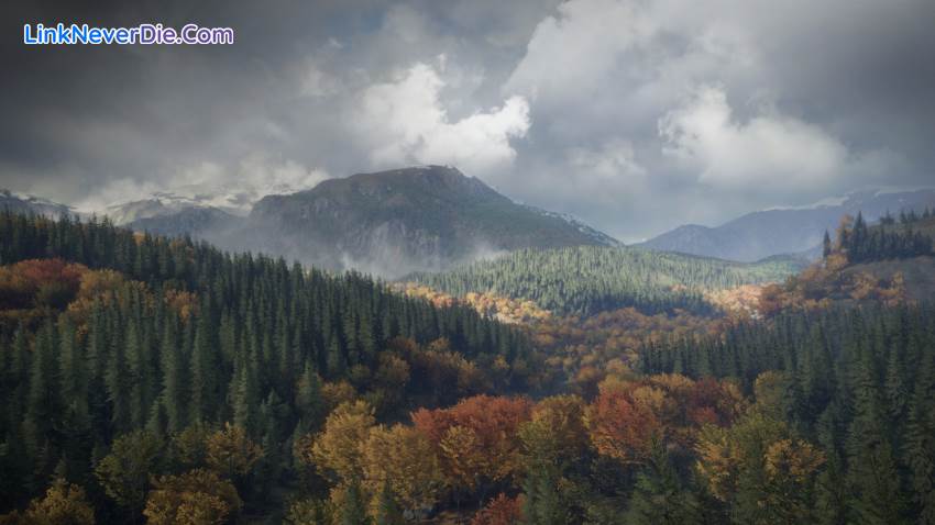 Hình ảnh trong game theHunter: Call of the Wild (screenshot) Hình ảnh trong game theHunter: Call of the Wild (screenshot)