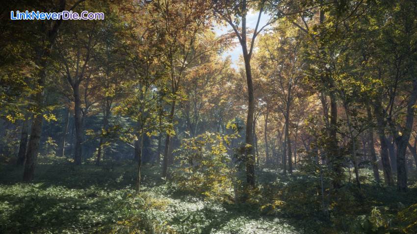 Hình ảnh trong game theHunter: Call of the Wild (screenshot) Hình ảnh trong game theHunter: Call of the Wild (screenshot)