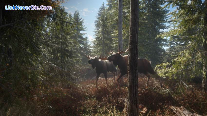 Hình ảnh trong game theHunter: Call of the Wild (screenshot) Hình ảnh trong game theHunter: Call of the Wild (screenshot)