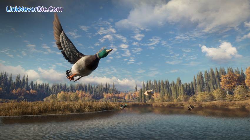 Hình ảnh trong game theHunter: Call of the Wild (screenshot) Hình ảnh trong game theHunter: Call of the Wild (screenshot)