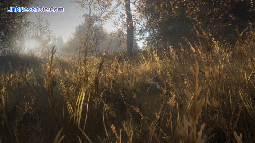 Hình ảnh trong game theHunter: Call of the Wild (screenshot) Hình ảnh trong game theHunter: Call of the Wild (screenshot)