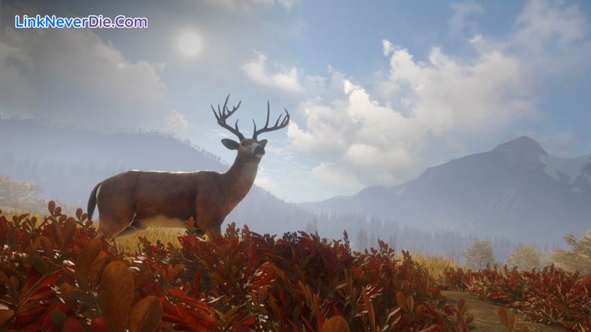Hình ảnh trong game theHunter: Call of the Wild (screenshot) Hình ảnh trong game theHunter: Call of the Wild (screenshot)