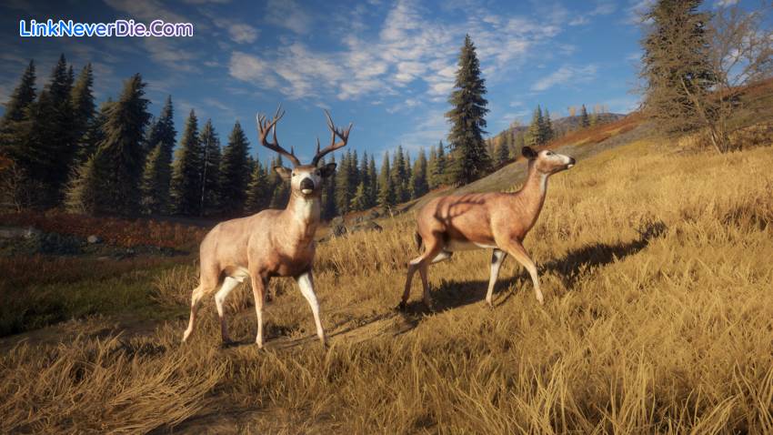 Hình ảnh trong game theHunter: Call of the Wild (screenshot) Hình ảnh trong game theHunter: Call of the Wild (screenshot)
