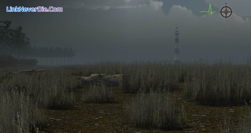 Hình ảnh trong game Whitetail Challenge (screenshot) Hình ảnh trong game Whitetail Challenge (screenshot)