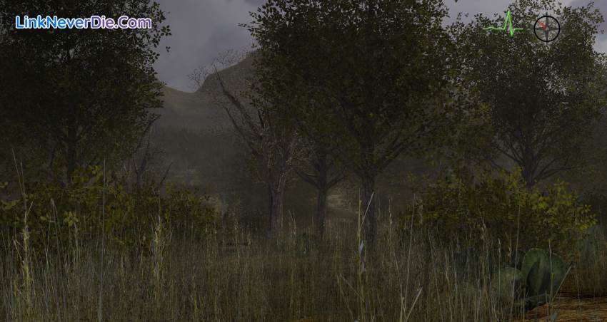 Hình ảnh trong game Whitetail Challenge (screenshot) Hình ảnh trong game Whitetail Challenge (screenshot)
