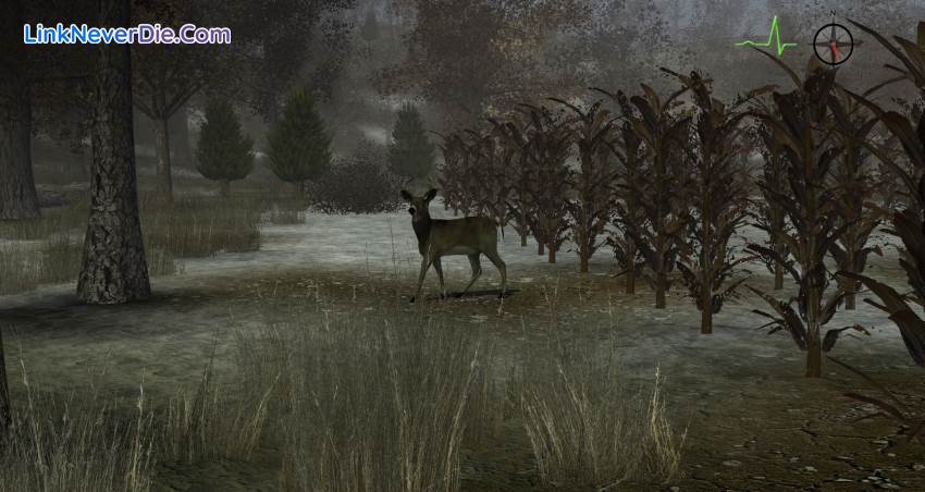 Hình ảnh trong game Whitetail Challenge (screenshot) Hình ảnh trong game Whitetail Challenge (screenshot)