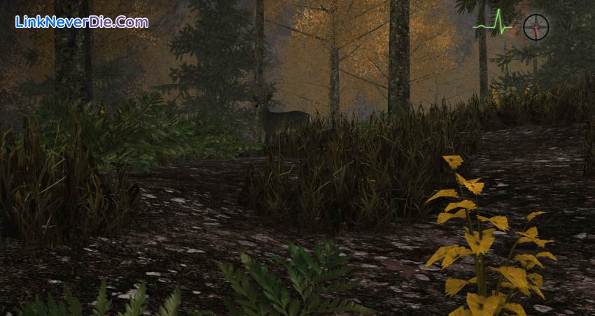 Hình ảnh trong game Whitetail Challenge (screenshot) Hình ảnh trong game Whitetail Challenge (screenshot)