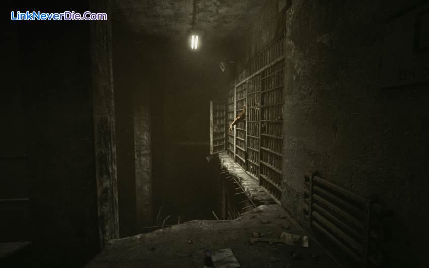 Hình ảnh trong game Outlast (screenshot) Hình ảnh trong game Outlast (screenshot)