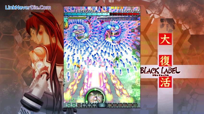 Hình ảnh trong game DoDonPachi Resurrection (screenshot) Hình ảnh trong game DoDonPachi Resurrection (screenshot)