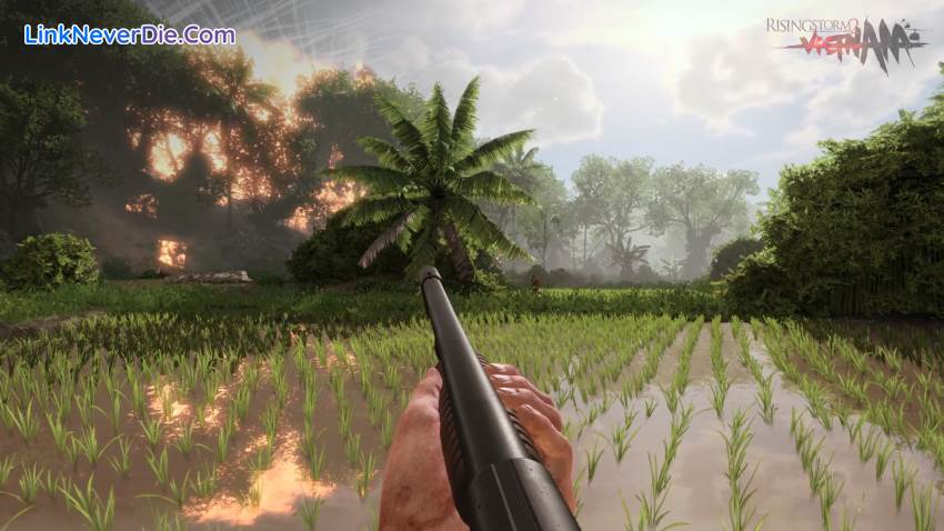 Hình ảnh trong game Rising Storm 2: Vietnam (screenshot) Hình ảnh trong game Rising Storm 2: Vietnam (screenshot)